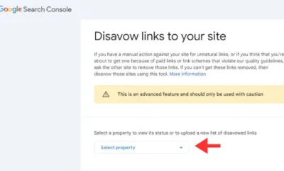 Visit the Google Disavow Tool